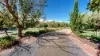 299 River Road, Nyah, Vic 3594-Image