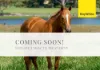 2994 Old Gympie Road, Beerwah QLD 4519-Image