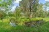 2994 Old Gympie Road, Beerwah QLD 4519-Image