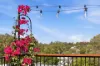 29A Maundrell Terrace, Chermside West, Qld 4032-Image