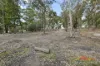 29A Olinda Street, Beaufort, Vic 3373-Image
