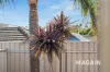 2A Alkirna Court, Morphett Vale, SA 5162-Image