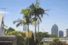 2a Colbourne Avenue, Glebe, NSW 2037-Image