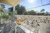 2a Colbourne Avenue, Glebe, NSW 2037-Image