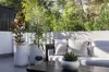 2a Coneill Place, Forest Lodge, NSW 2037-Image