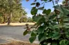 2A Fleming Avenue, Bentley, WA 6102-Image