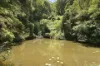 2A Hardy Close, Korora, NSW 2450-Image