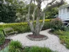 2A Herbert Street, East Toowoomba, Qld 4350-Image
