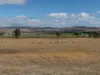2A High Street, Oatlands, Tas 7120-Image