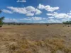 2A High Street, Oatlands, Tas 7120-Image