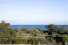 2A Hutchison Avenue, Beaumaris, Vic 3193-Image