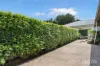 2a Orchard Street, Eastern Heights, Qld 4305-Image