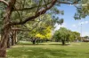 2A Walmer Street, Ramsgate, NSW 2217-Image