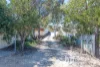 2B King George Street, Mannum, SA 5238-Image
