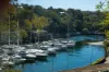 2B Mosman Street, Mosman, NSW 2088-Image