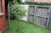 2B Myrtle St, Kensington, NSW 2033-Image
