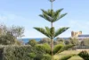 3/124 Broome Street, Cottesloe, WA 6011-Image