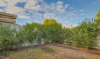 3/139 Twelfth Street, Mildura, Vic 3500-Image