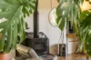 3/146 Old Bangalow Road, Byron Bay, NSW 2481-Image