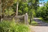 3/146 Old Bangalow Road, Byron Bay, NSW 2481-Image