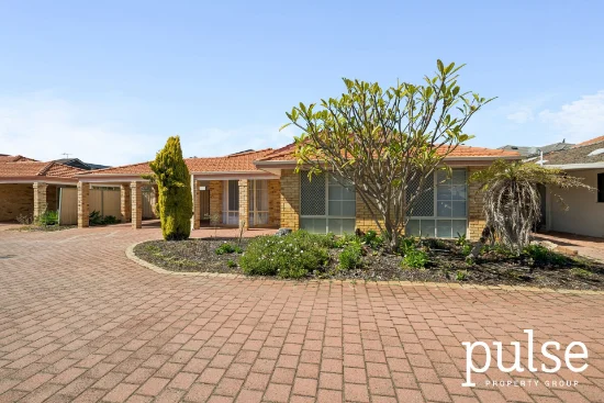 3/16 Marjorie Avenue, Shelley, WA 6148