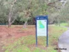 3/20 Eden Street, Innaloo, WA 6018-Image