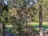 3/23 Andromeda Parade, Robina, Qld 4226-Image