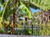 3/23 Andromeda Parade, Robina, Qld 4226-Image