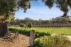 3/3120 Harmony Way, Faraday, Vic 3451-Image