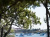 3/333 Colburn Avenue, Victoria Point, Qld 4165-Image