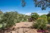3/41 Ardlethan Street, Fisher, ACT 2611-Image
