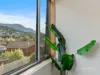 3/54 Mawhera Avenue, Sandy Bay, Tas 7005-Image