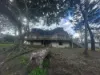 3-7 Cathy Street, Macleay Island, Qld 4184-Image