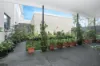 3/8 Yalinbah Street, Tea Gardens, NSW 2324-Image