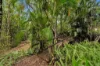 3 Aberfeldy Road, Closeburn, Qld 4520-Image