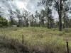 3 Amy Drive, Laidley Heights, Qld 4341-Image