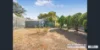 3 Andrew Road, Elizabeth Downs, SA 5113-Image