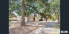 3 Andrew Road, Elizabeth Downs, SA 5113-Image