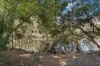 3 Anembo Drive, Torquay, Qld 4655-Image