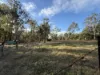 3 Aniseed Grove, Kensington Grove, Qld 4341-Image