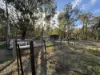 3 Aniseed Grove, Kensington Grove, Qld 4341-Image