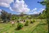 3 Archer Street, Bridgetown, WA 6255-Image