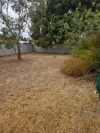3 Arthur Road, Wagin, WA 6315-Image