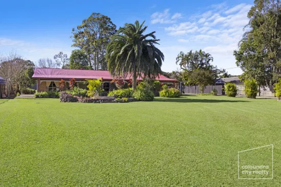 3 Ascot Way, Little Mountain, Qld 4551
