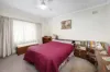 3 Aster Avenue, Punchbowl, NSW 2196-Image