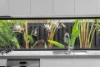 3 Azimut Crescent, Hope Island, Qld 4212-Image