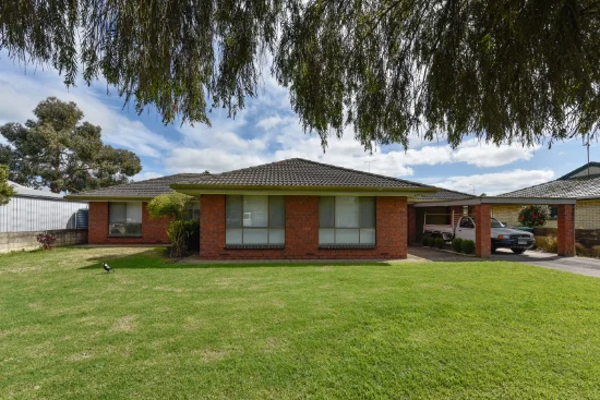 3 Badenoch Street, Mount Gambier, SA 5290