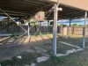 3 Baker Street, Bowen, Qld 4805-Image