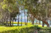3 Benalla Close, Killarney Vale, NSW 2261-Image