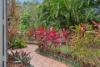 3 Beryl Terrace, Mount Coolum, Qld 4573-Image